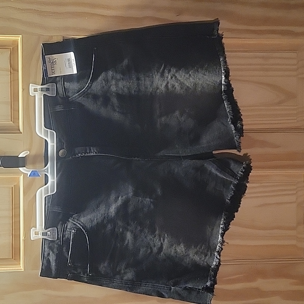 Terra & Sky Shorts, sz 20w